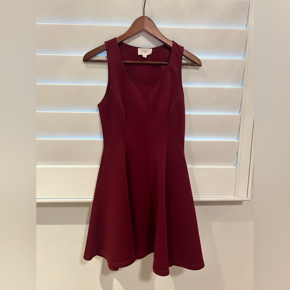 Francesca’s: Maroon Dress